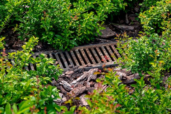 Underground Drainage Service in Freehold
