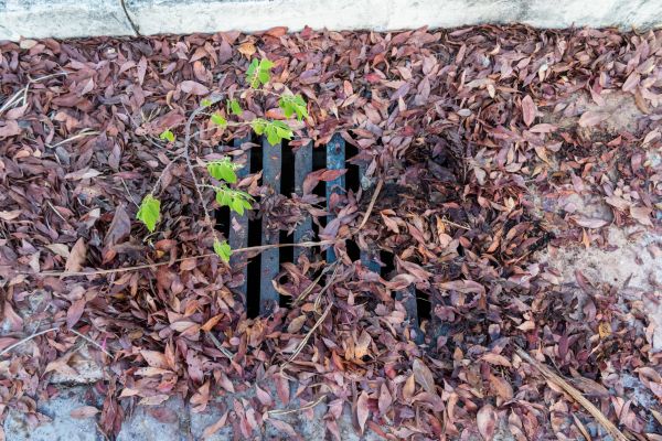 Yard Drain Unclogging in Freehold