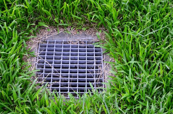Yard Water Drainage in Freehold