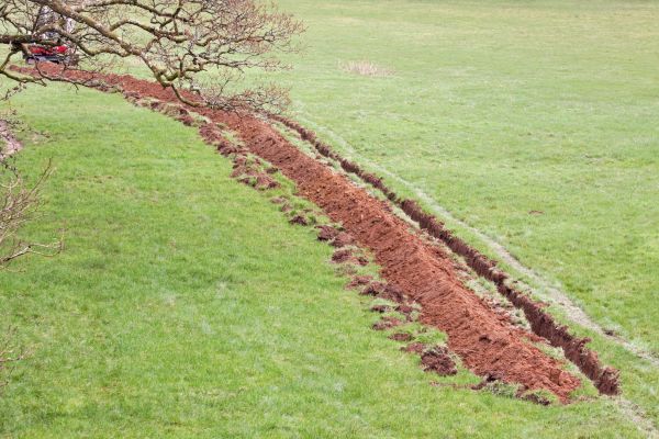 Cost of Swale Installation in Freehold