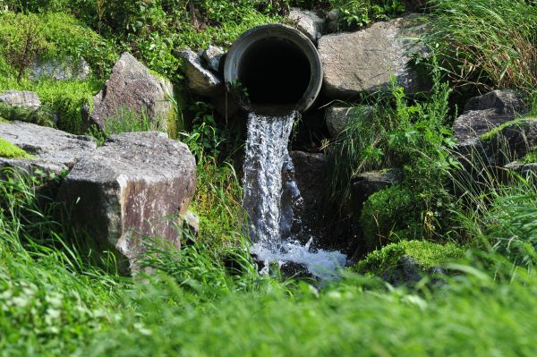 Water Redirection in Freehold