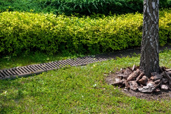 Residential Landscape Drainage in Freehold