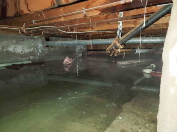 Cost of Crawlspace Drainage in Freehold